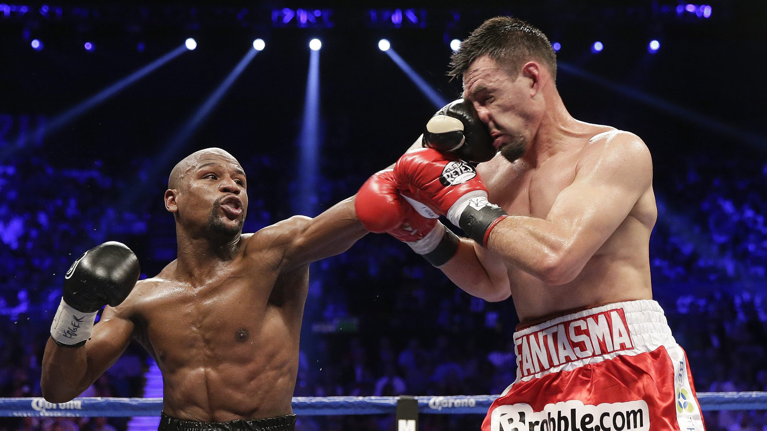 开云体育登录网站入口-_未来体育馆国际巡展：科技打造极致体验_，未来的体育馆图片